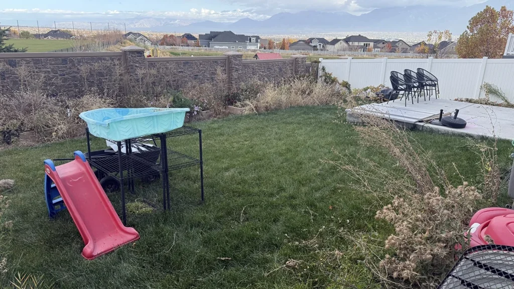 utah junk bee gone taylorsville ut 2026 01 29T15 06 11.081181Z 25000