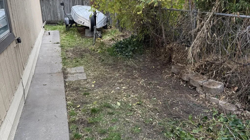 utah junk bee gone taylorsville ut 2026 01 29T15 06 12.239510Z 47605