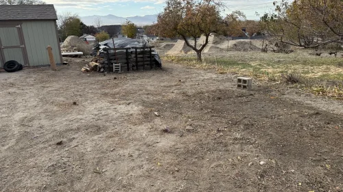 utah junk bee gone taylorsville ut 2026 01 29T15 06 13.786370Z 12980