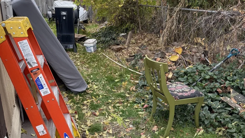 utah junk bee gone taylorsville ut 2026 01 29T15 06 14.268853Z 81899