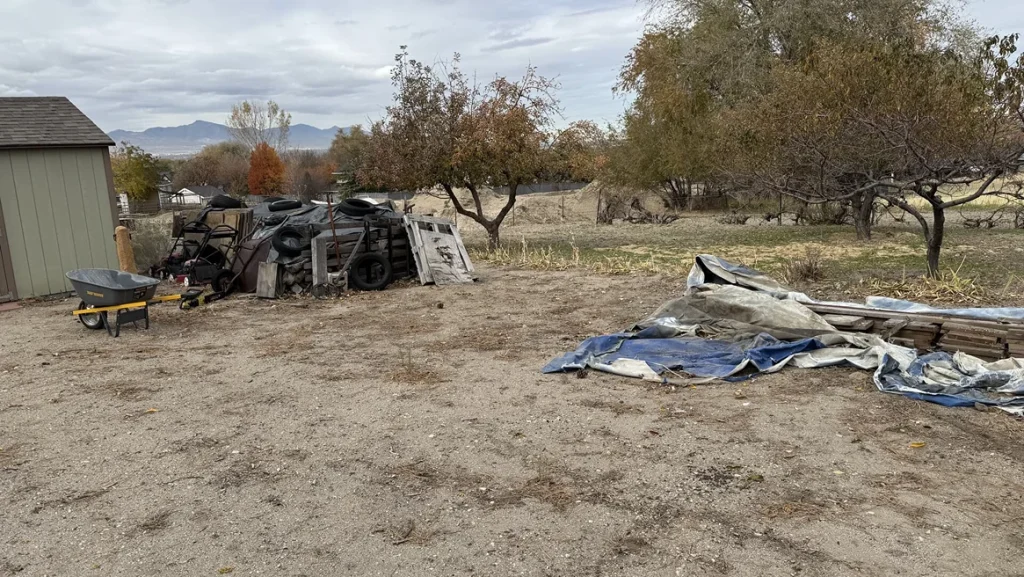 utah junk bee gone taylorsville ut 2026 01 29T15 06 17.042175Z 6107